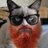 JagShire's profile image
