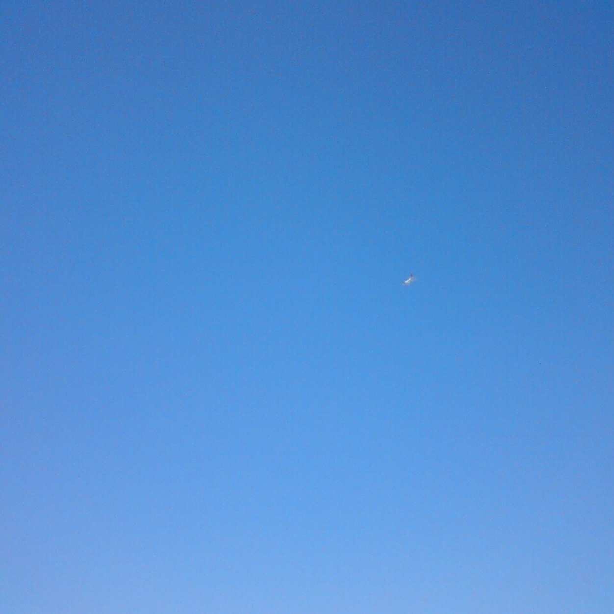 fungmin_sora's profile picture. 