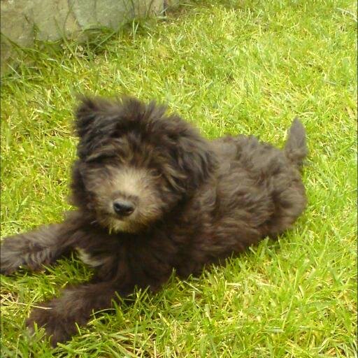 cutemargaritari's profile picture. 