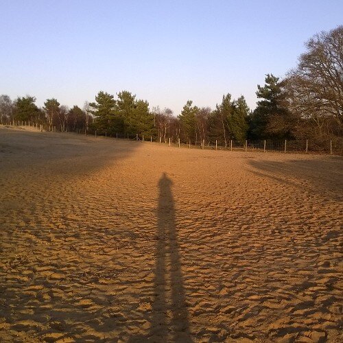 janees1's profile picture. Love the outdoors. Volunteer @SurreyWT. My own views.