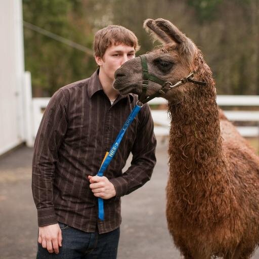 Trade The Probability and the probability is crypto.
MTG Noob
NFT Noob
Yes that is a llama