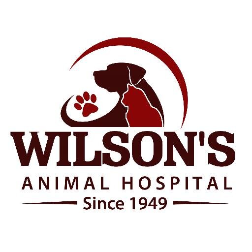 Located in the heart of the Niagara Region at 105 Hartzel Rd St. Catharines. Offering a complete range of veterinary services for your dog and cat.🐱🐶❤️