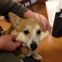 ゅーじ (@0215_yy) Twitter
