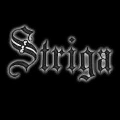 StrigaDoom's profile picture. Heavy bleak twin-bass sludge doom from the South West of England