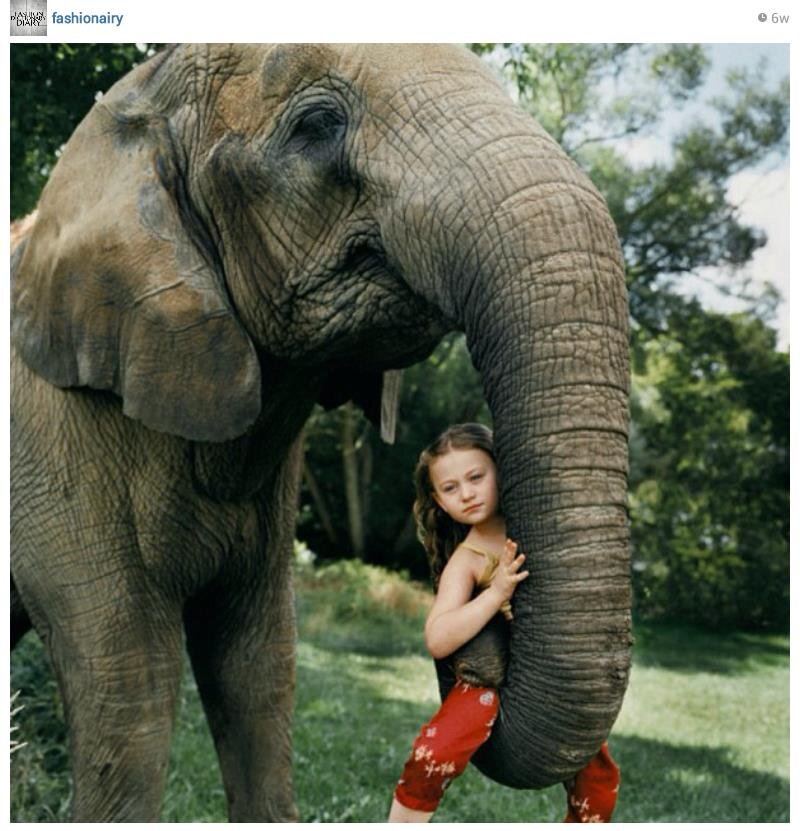 fiLaphant's profile picture. 