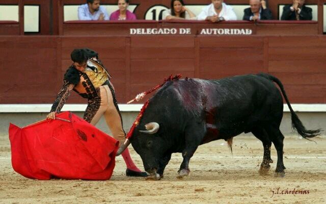 pasion por los toros y los galgos
