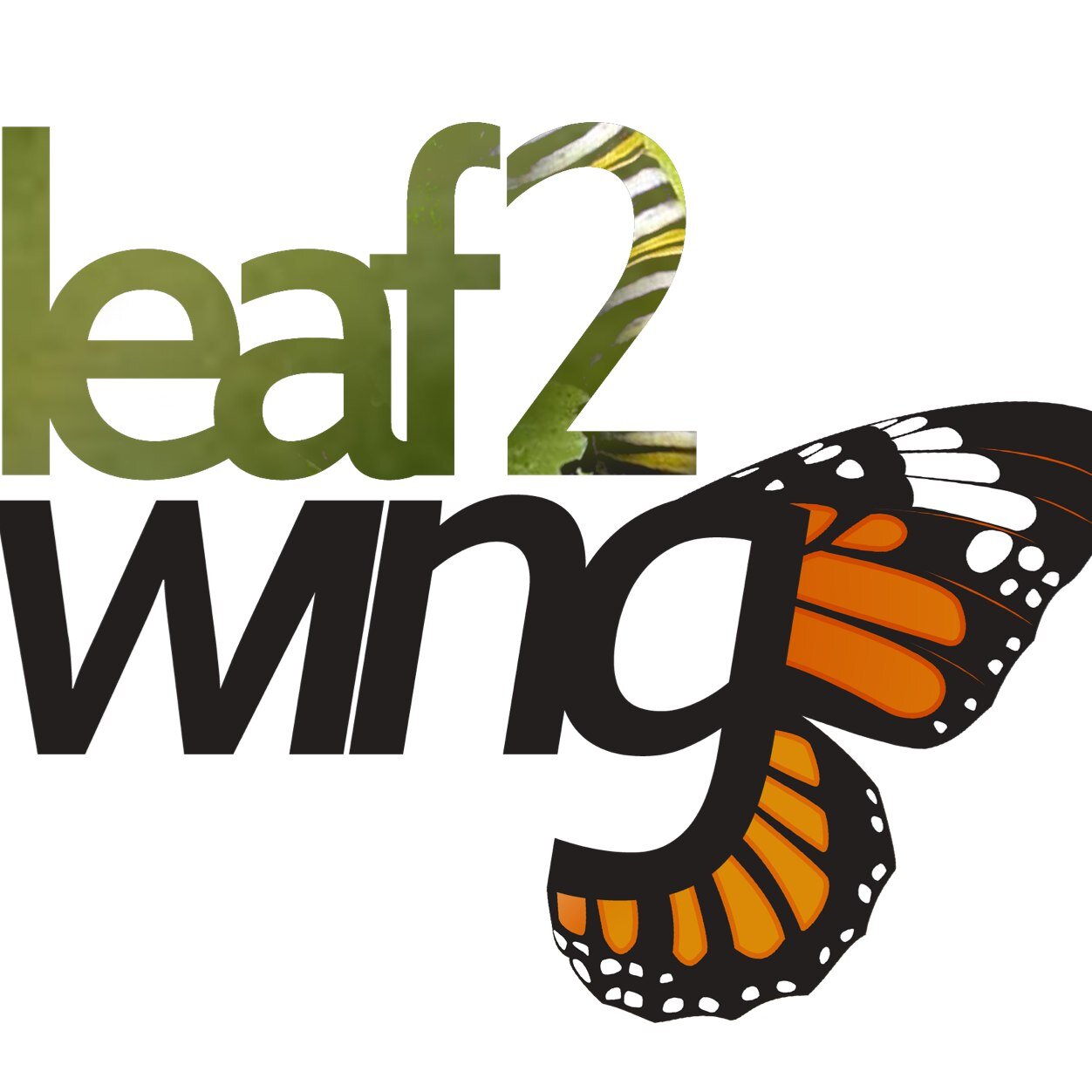 leaf2wing Profile Picture