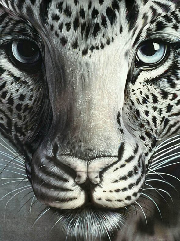 Follow us for the best optical illusions.
