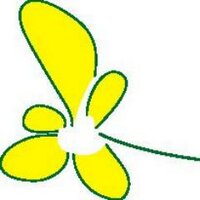 Buttercups Nursery (@bcupsnursery) Twitter profile photo