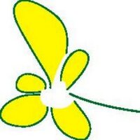 Buttercups Nursery(@BcupsNursery) 's Twitter Profile Photo