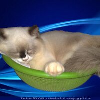 Bugau2 (@bugau2) 's Twitter Profile