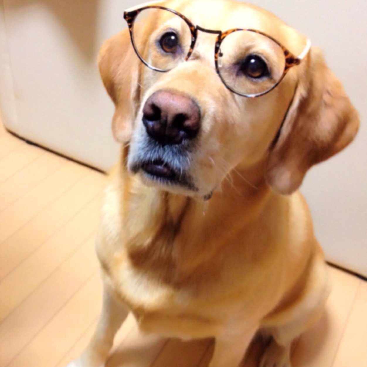 xxxfykxxx's profile picture. 