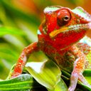 ethan sutherland - @ethanbalmoral - Twitter