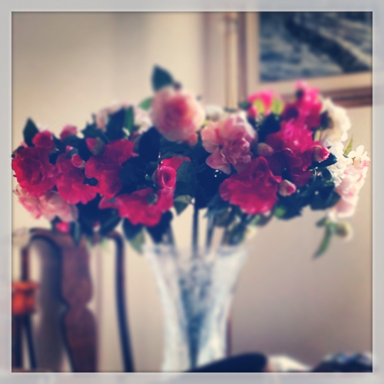 nonna_elisa's profile picture. 