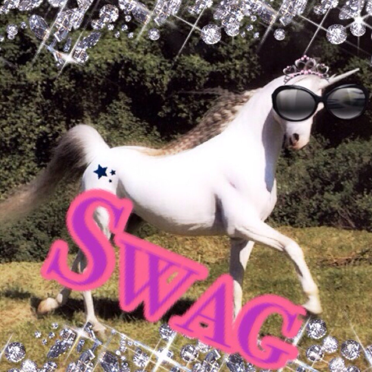 TwdUnicorn's profile picture. Im a boss ass bitch and im swag cause im a mother fuckin unicorn call me Brittney. 2 glam 2 give a damn. // twd parody not Britney spears but really a unicorn