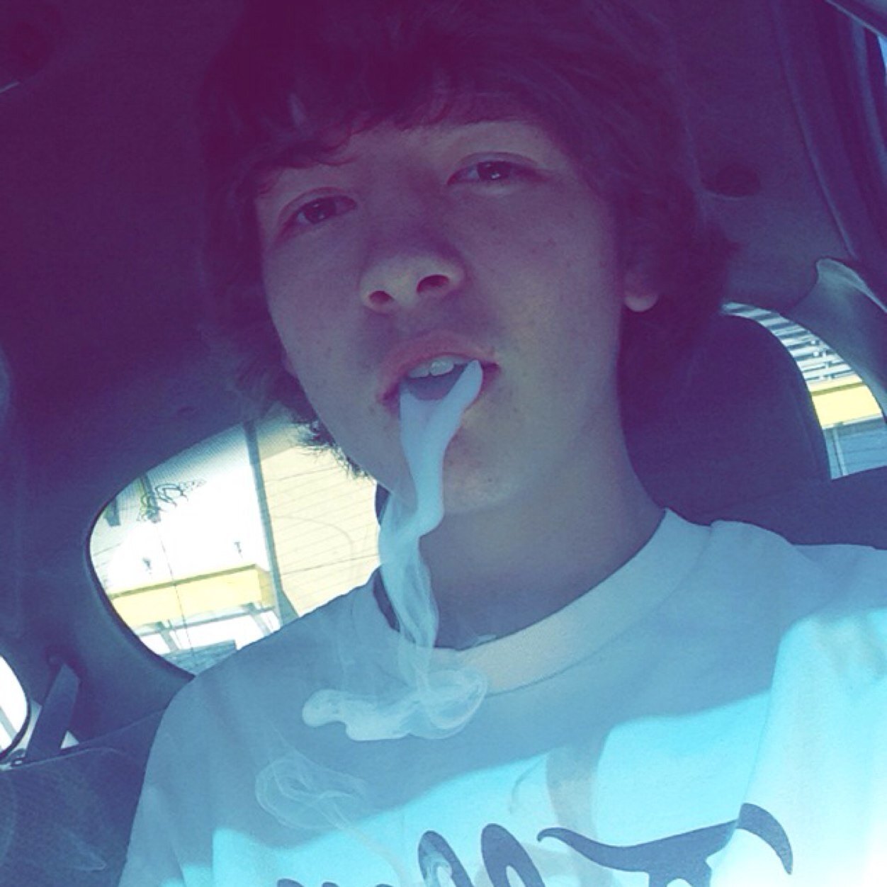 Blow trees like a windy city