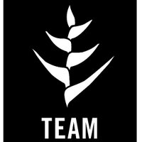 TEAM Network (@teamnetworkorg) 's Twitter Profile