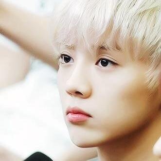 xi lu han's pard [0+]