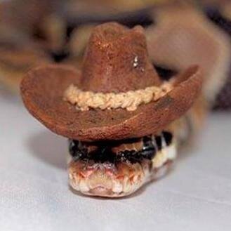 soybienchucho's profile picture. Productor y Conductor de Radio // Incomprendido Mamador