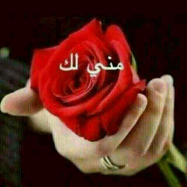 haifakamel Profile Picture