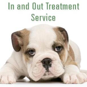 Most affordable cat and dog hospital in the Aurora, Naperville, Oswego, and surrounding areas!