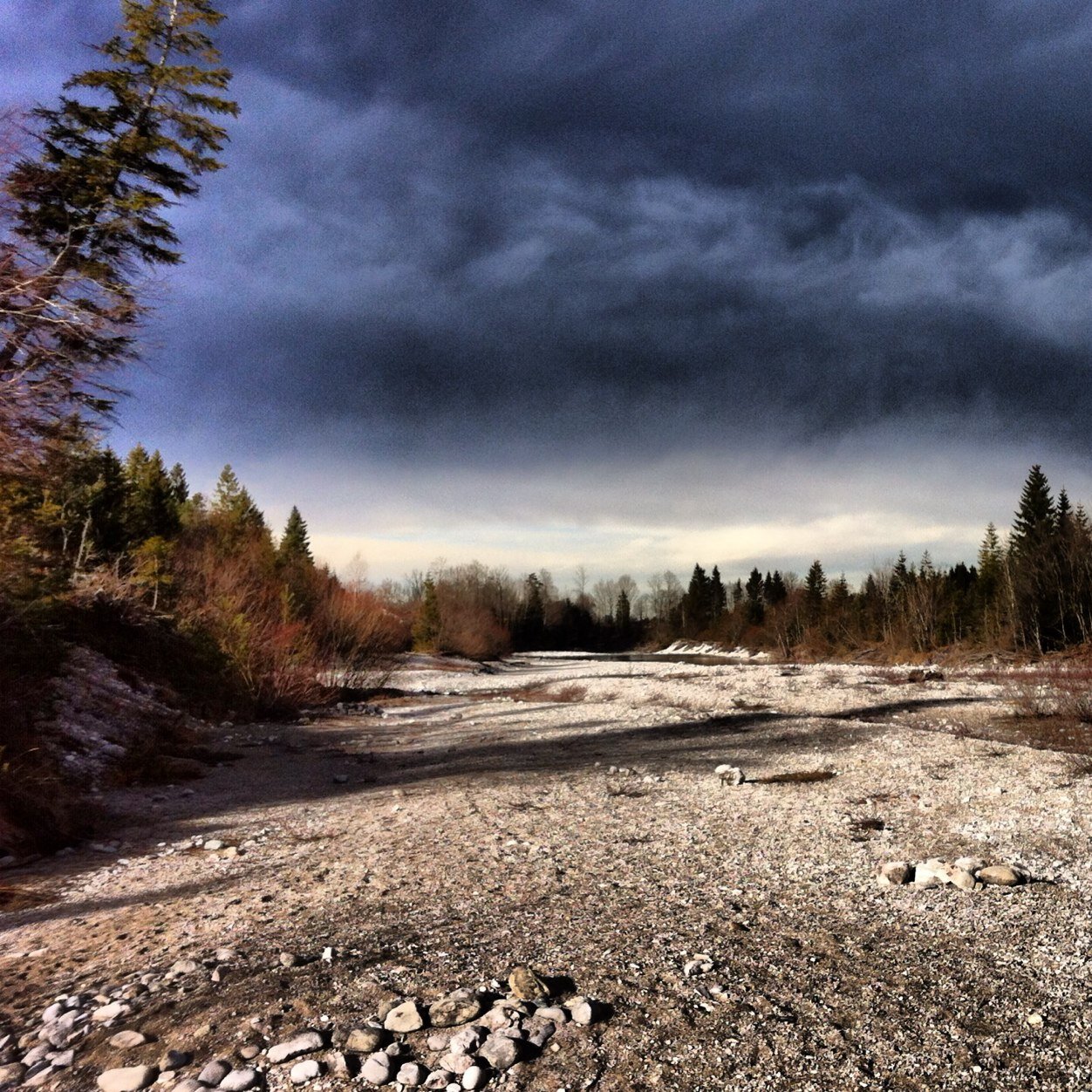 orakinokel's profile picture. 