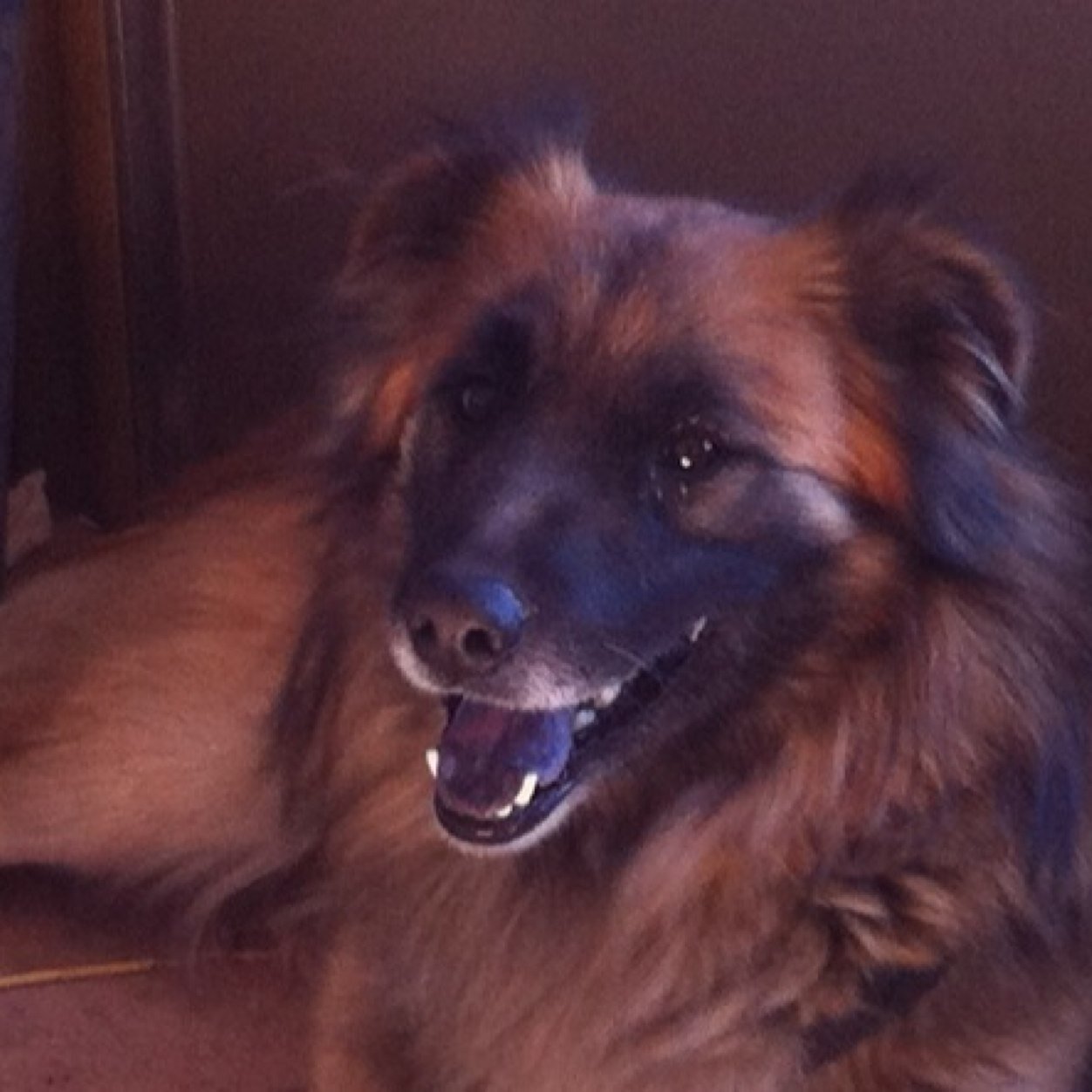 terry_zacher's profile picture. 