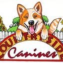 Retail, grooming, training, in-home boarding & doggy daycamps.