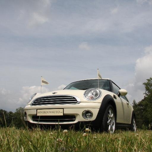 Voor een gepaste uitvaart van een baby, kind, volwassene. Nabestaanden kunnen zelf de auto huren en besturen. Schenkt aan goede doelen. 0206955530