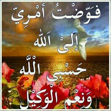 ANW77220's profile picture. 