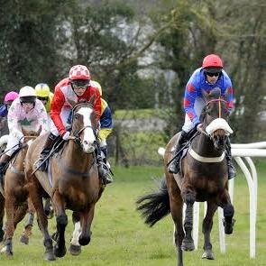 Information on Point-to-Point horseracing in the South East Area