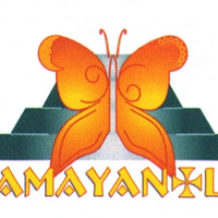 Amayantli Sanaciones(@amayantli) 's Twitter Profile Photo