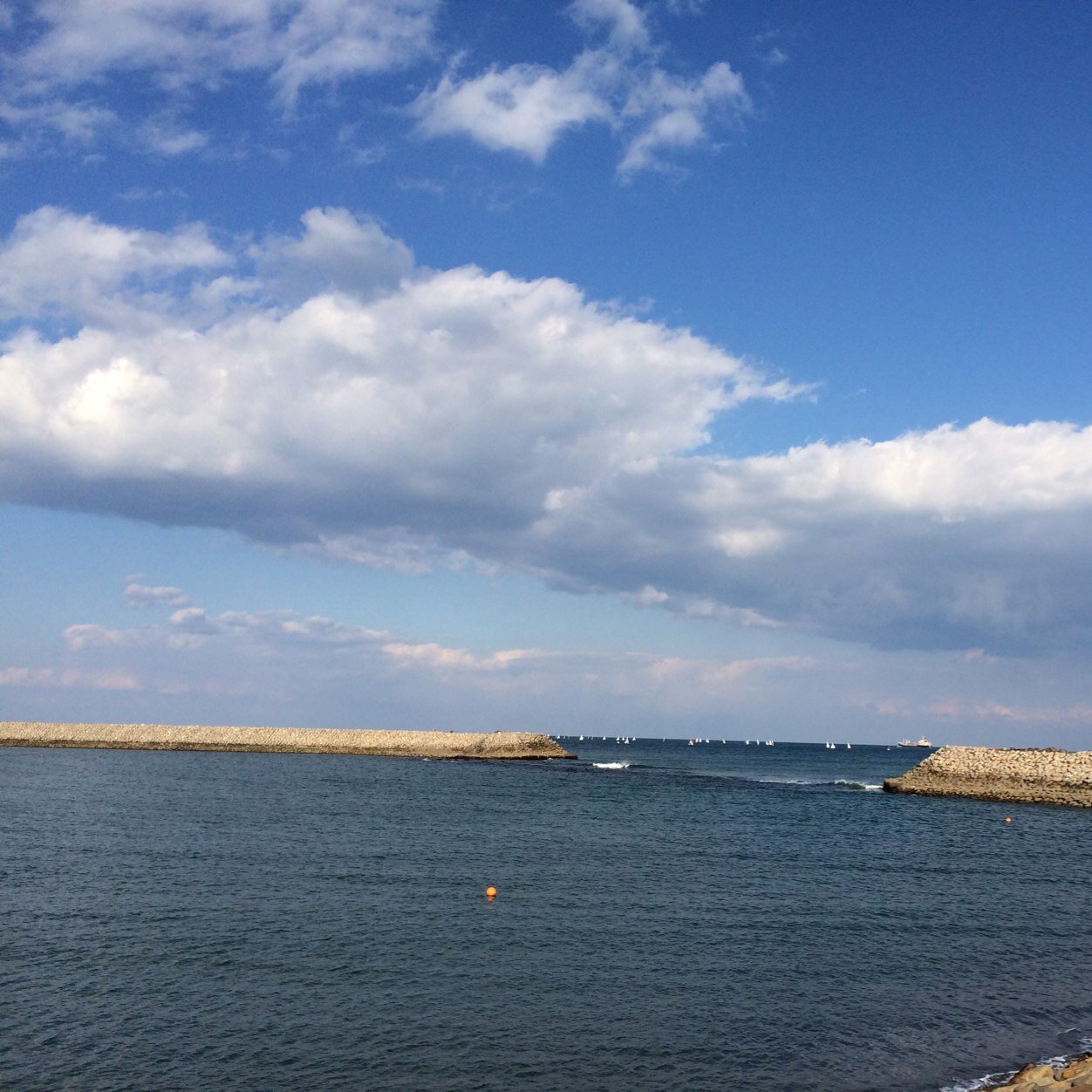 yama15quinze's profile picture. 日向の夜明けの待ち人 倉木麻衣、安室奈美恵、村治佳織、高木綾子、横山奈加子さんのファン♪ バッハの平均律クラヴィア曲集、無伴奏ヴァイオリンソナタ、ショパンのノクターン、そしてジャズ、大人のムード歌謡なども好み♪ 大原幽学、アボガドロ、ジョージ・ワシントンが心に残る人達