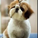 Sherry Lyon - @hotmama52561 - Twitter