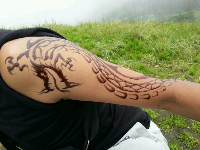 mazenHarbi's profile picture. موظف حكومي