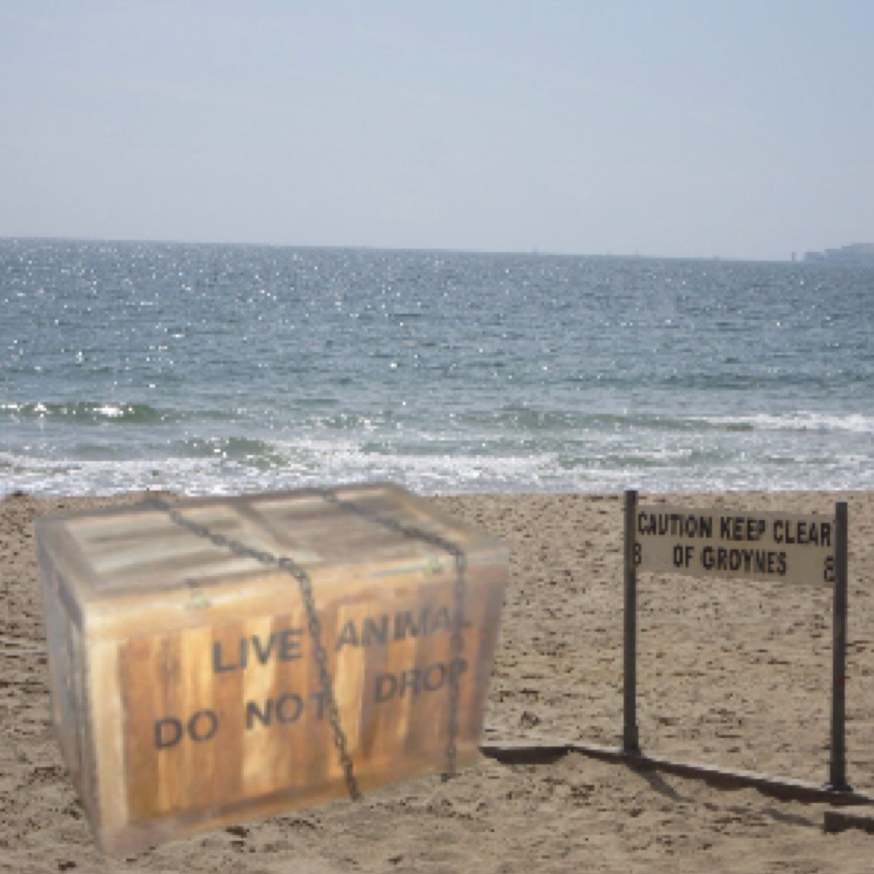 SquirrelBourmth's profile picture. Hurrah I'm out of the box but I'm lost in Bournemouth, please help me find my way home? Do say hello...I love nuts and organic treats. #Bournemouthsquirrel