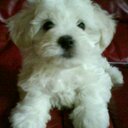 Andrea Fleet - @and141268 - Twitter