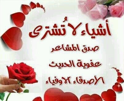 HissaMaarouf's profile picture. 