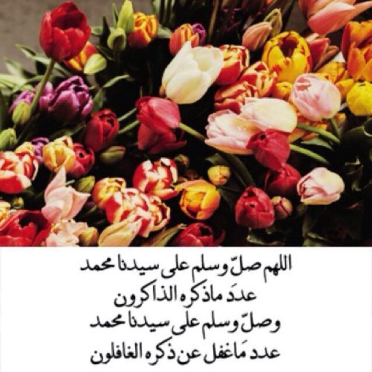 استغفر الله و اتوب اليه بعدد كل شيء ❤️