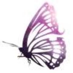 fibroguysngals's profile picture. Supporting sufferers of Fibro, ME or CFS along with their family and friends.