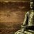 Atul_Lko3's profile image