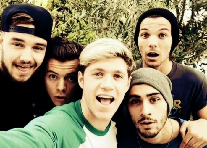 Directioner · Mixer · Walker · Rigger