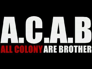 WE ARE COLONY !! Official @REVENGETHEFATE Fans Club http://t.co/2vt0jm118O A.C.A.B #AllColonyAreBrothers