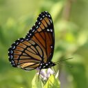 sue mathews - @smokeybroomstic - Twitter