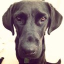 Ryan Muncy - @munceofmi - Twitter