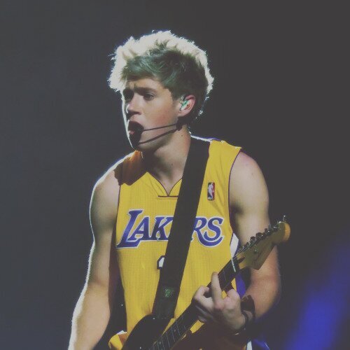 niall/21/bisex