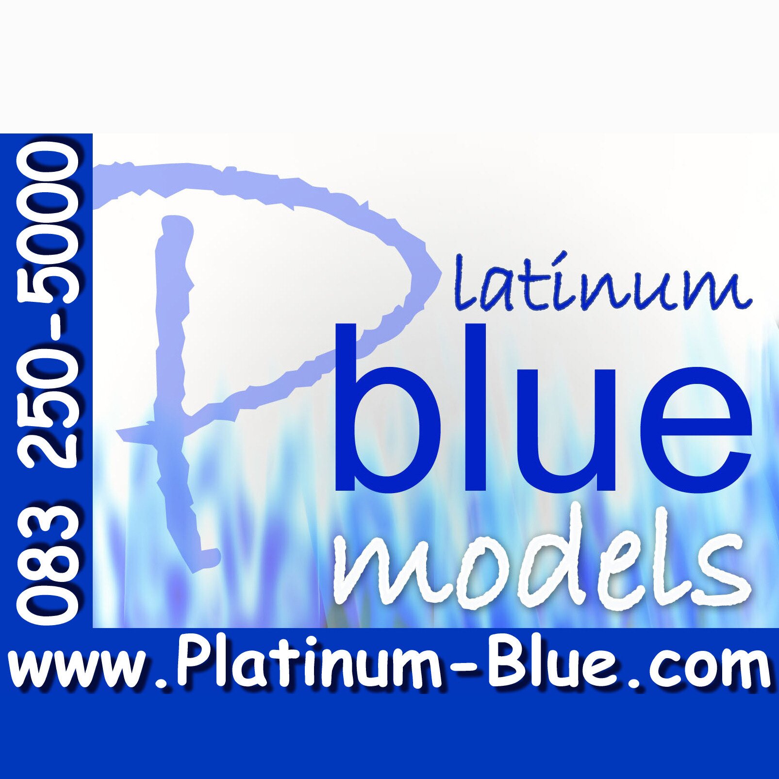 Platinum-Blue Models