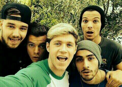 Can you please follow @niallftjmo and not this acc? :)