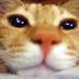 ruvbytes (@nekomassive) Twitter profile photo ruvbytes (@nekomassive) Twitter profile photo