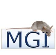 Mouse Genome Informatics is the #database for the laboratory #mouse; providing integrated #genetic, #genomic, and biological data for the #research community.